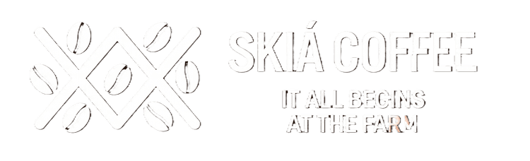 Skia Logo